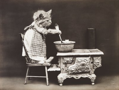 Série des chatons : Le cuisinier au fourneau, vers 1914 (épreuve argentique) - Harry Whittier Frees