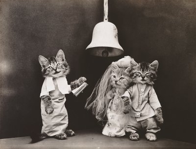 Série des chatons : Mariage, vers 1914 (tirage argentique) - Harry Whittier Frees