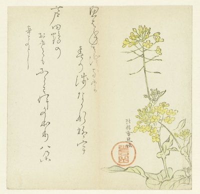Fleurs - Hasegawa Settan