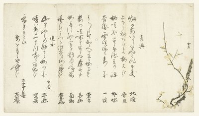 Prunier - Hasegawa Settan