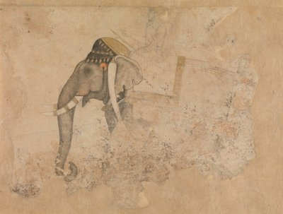 Éléphant et cavalier, vers 1640 - Hashim.