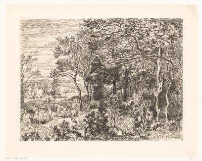 Figures au bord d