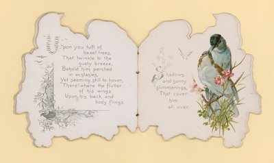Oiseaux - Hector Giacomelli