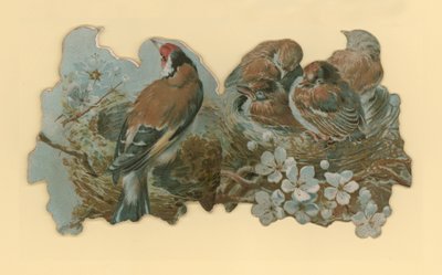 Oiseaux - Hector Giacomelli