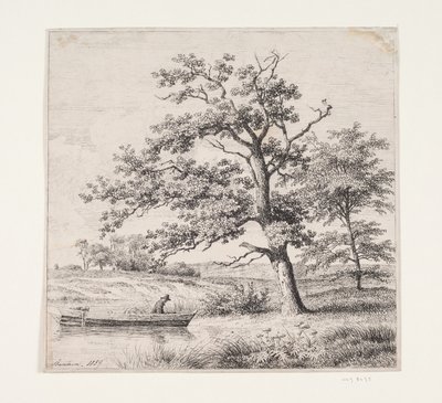 Chênes au bord d