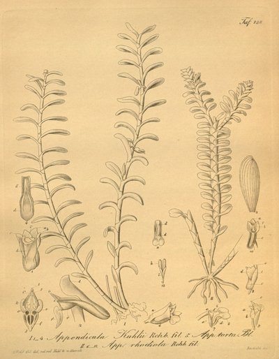 Illustrations d