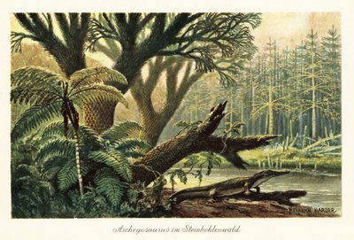 Archegosaurus decheni près d