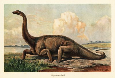 Diplodocus longus éteint sur les plaines - Heinrich Harder