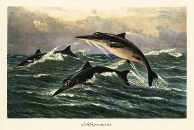 Ichthyosaures éteints sautant au-dessus de l