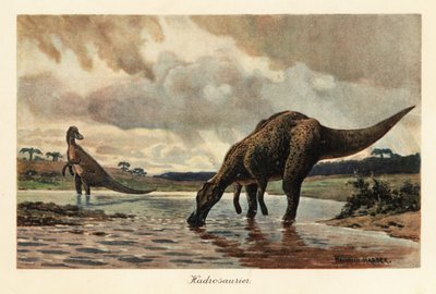 Hadrosaures ou dinosaures à bec de canard se nourrissant dans une rivière - Heinrich Harder