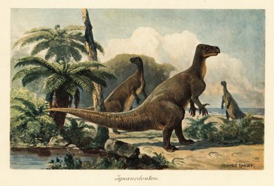 Iguanodon bernissartensis dans une forêt de fougères préhistorique - Heinrich Harder