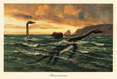 Plesiosaurus dolichodeirus dans l