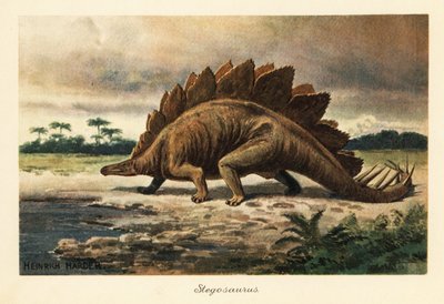 Stegosaurus armatus du Jurassique tardif - Heinrich Harder