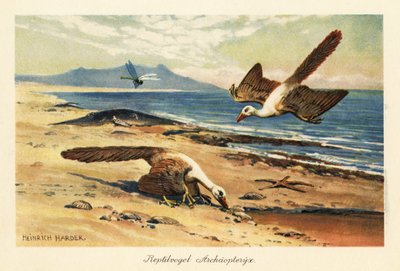 Deux Archéoptéryx cherchant de la nourriture sur le rivage - Heinrich Harder