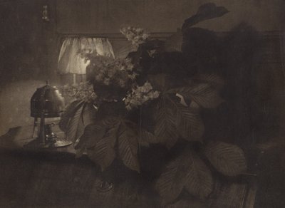 [Nature morte avec fleurs de marronnier d