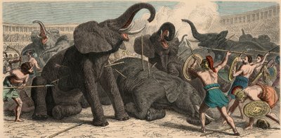 Rome antique : Les éléphants sont tués dans l