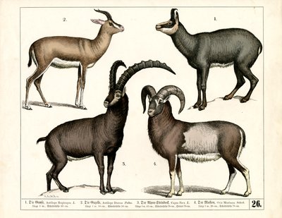  - Heinrich Leutemann