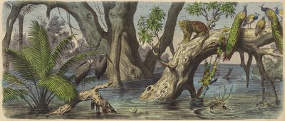 Inondations dans l