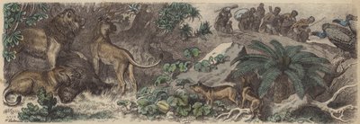 Afrique du Sud - Heinrich Leutemann