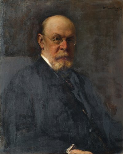 Le chef de section Alfred Ritter von Bernd - Heinrich Rauchinger