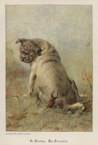 Un fauteur de troubles - Heinrich Sperling