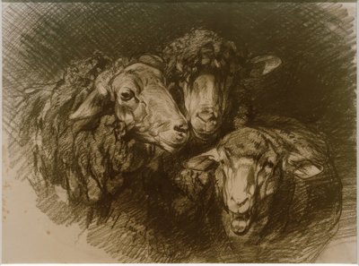 Moutons - Heinrich von Zügel