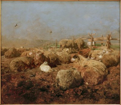 Moutons dans l