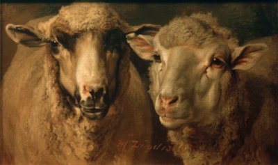 Deux moutons - Heinrich von Zügel