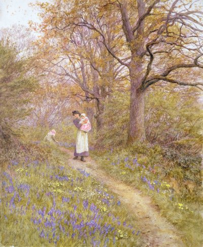 Jacinthes des bois - Helen Allingham