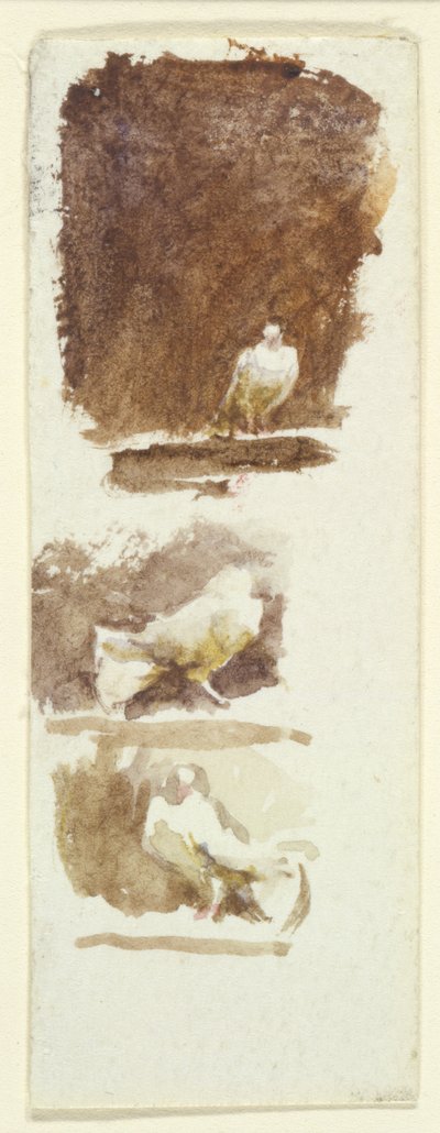 Colombes - Helen Allingham