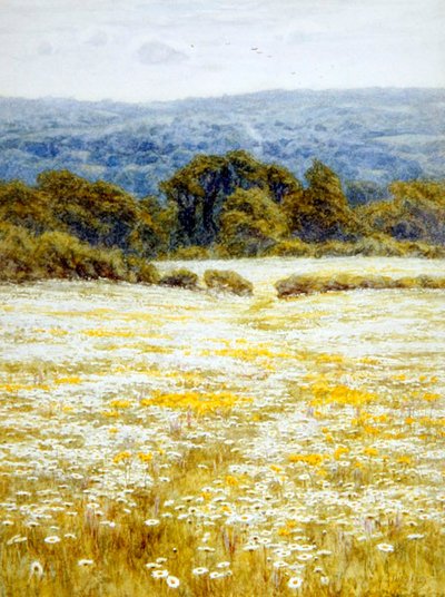 Marguerites, près de Westerham, Kent - Helen Allingham