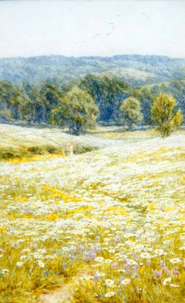 Marguerites, près de Westerham, Kent - Helen Allingham