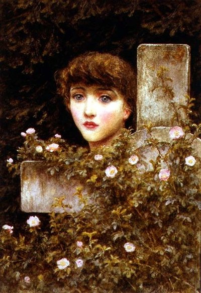 Chagrin - Une rose sauvage - Helen Allingham