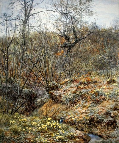 Bois de printemps, Witley, Surrey - Helen Allingham