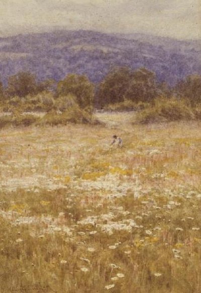 Fleurs d