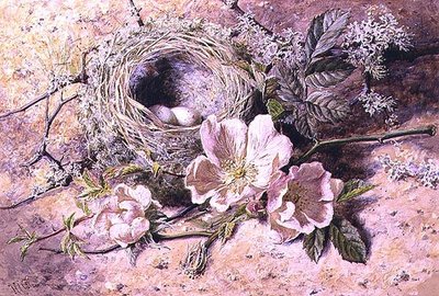 Fleur et nid d