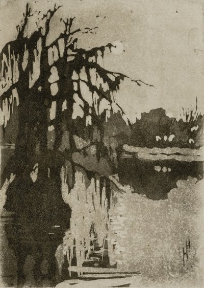 Arbres à cyprès - Helen Hyde