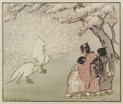 Paon blanc, 1914 - Helen Hyde