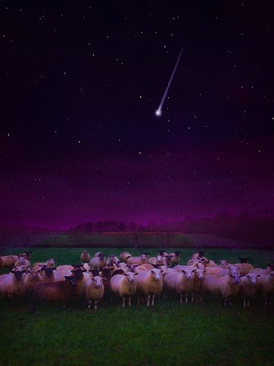 Troupeau de Nuit - Helen White
