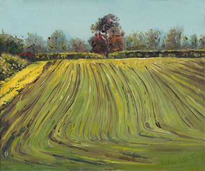 Sillons, 2008 - Helen White