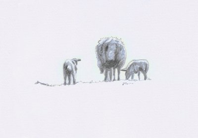 Esprits Doux V - Helen White