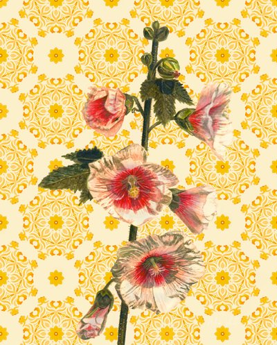 Rose trémière au soleil, 2021 - Helen White