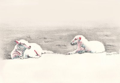 Sieste, 2016 - Helen White