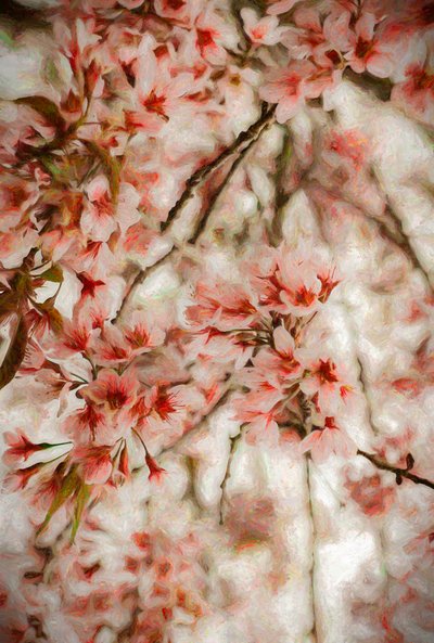 Orientalis - Helen White