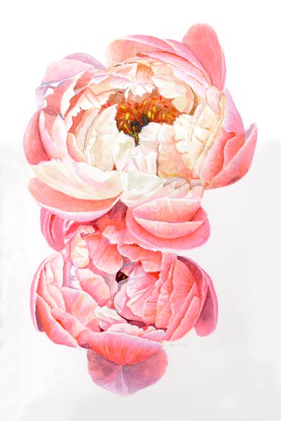  - Helen White