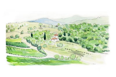 Colline toscane, 2014 (crayon et aquarelle) - Helen White