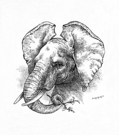 Éléphant d