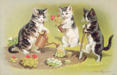 Carte postale de chat - Helena J. Maguire