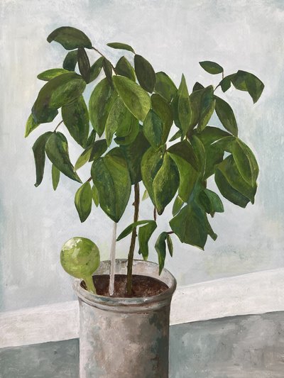 Nature morte : plante en pot - Heléne Sikdal