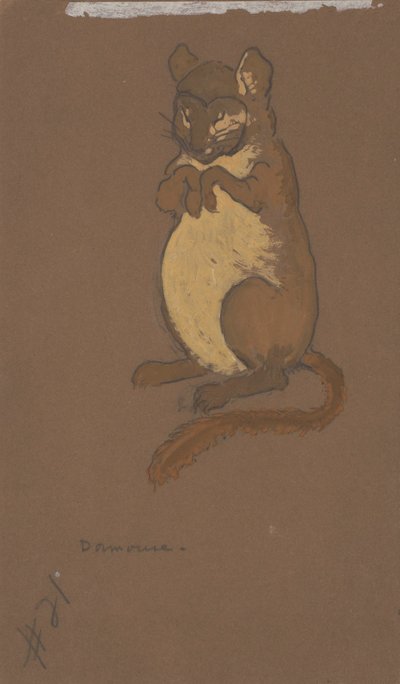Loir (conception des costumes pour Alice au pays des merveilles, 1915) - Henderson, William Penhallow